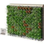 ������Ϸ����(�й���)���޹�˾����