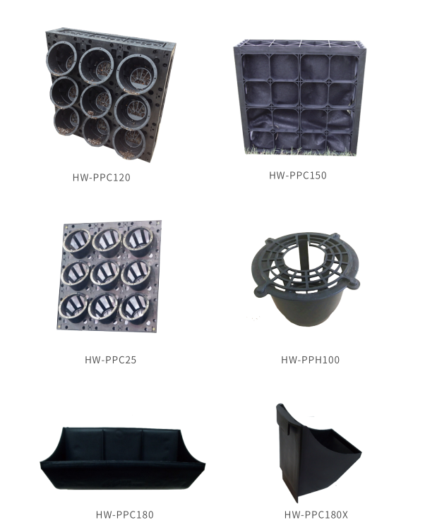 ������Ϸ����(�й���)���޹�˾����