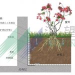 ������Ϸ����(�й���)���޹�˾����