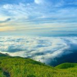 ������Ϸ����(�й���)���޹�˾����