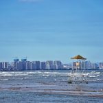 ������Ϸ����(�й���)���޹�˾����